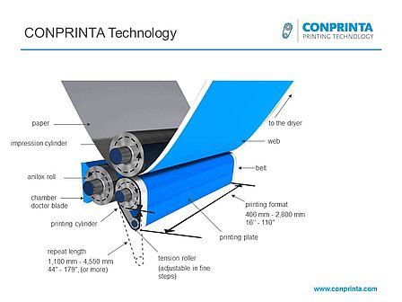 Graphic of the Belt System.